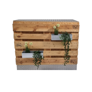 Palleleon Bar gross 0